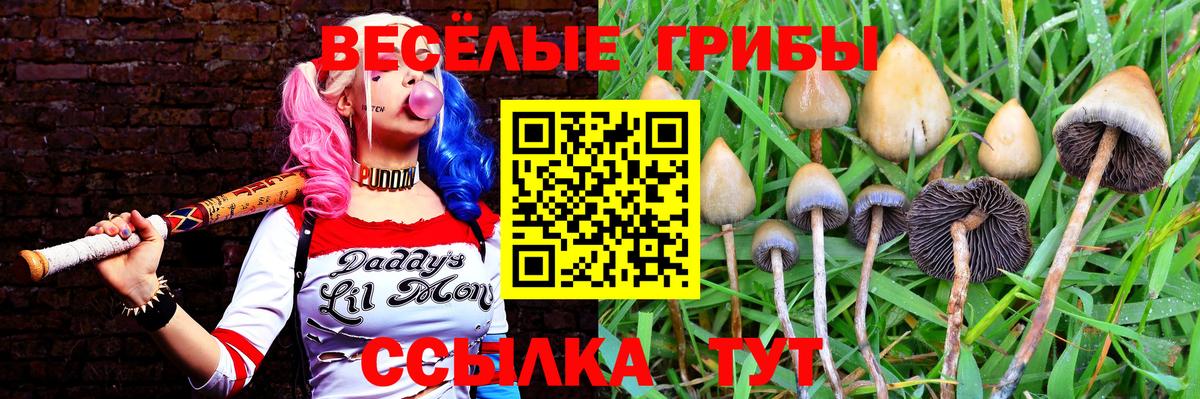 Кодеин  Лысьва  ГАШ  Альфа ПВП СОЛЬ   Где купить наркотики?  ГЕРОИН  Вход с VPN  МАРИХУАНА  Меф кристаллы 